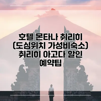 호텔 몬타나 취리히 (도심위치 가성비숙소) 취리히 아고다 할인 예약팁