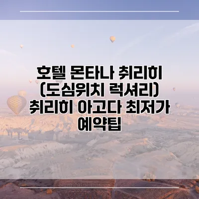 호텔 몬타나 취리히 (도심위치 럭셔리) 취리히 아고다 최저가 예약팁