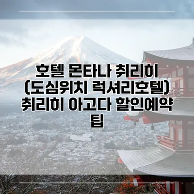 호텔 몬타나 취리히 (도심위치 럭셔리호텔) 취리히 아고다 할인예약 팁