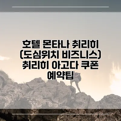 호텔 몬타나 취리히 (도심위치 비즈니스) 취리히 아고다 쿠폰 예약팁