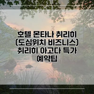 호텔 몬타나 취리히 (도심위치 비즈니스) 취리히 아고다 특가 예약팁