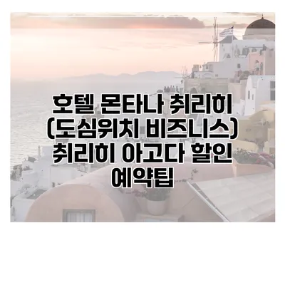 호텔 몬타나 취리히 (도심위치 비즈니스) 취리히 아고다 할인 예약팁