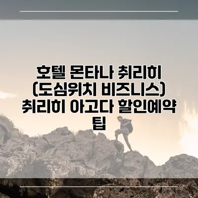 호텔 몬타나 취리히 (도심위치 비즈니스) 취리히 아고다 할인예약 팁