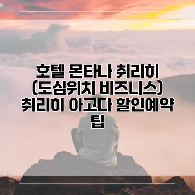호텔 몬타나 취리히 (도심위치 비즈니스) 취리히 아고다 할인예약 팁