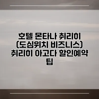 호텔 몬타나 취리히 (도심위치 비즈니스) 취리히 아고다 할인예약 팁