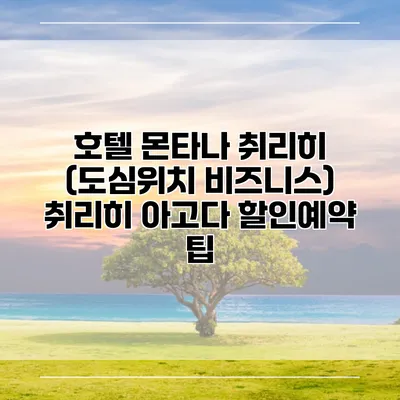 호텔 몬타나 취리히 (도심위치 비즈니스) 취리히 아고다 할인예약 팁