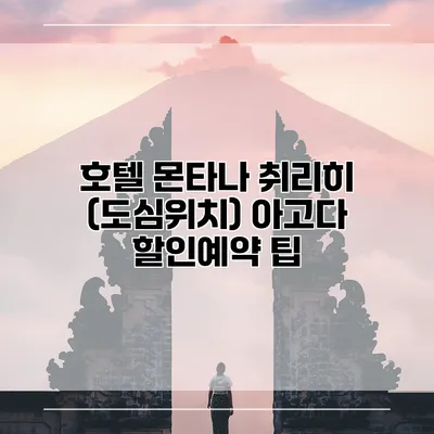 호텔 몬타나 취리히 (도심위치) 아고다 할인예약 팁