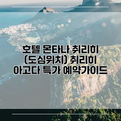 호텔 몬타나 취리히 (도심위치) 취리히 아고다 특가 예약가이드
