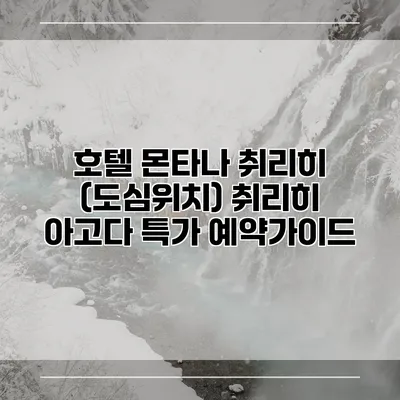 호텔 몬타나 취리히 (도심위치) 취리히 아고다 특가 예약가이드