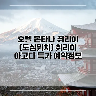 호텔 몬타나 취리히 (도심위치) 취리히 아고다 특가 예약정보