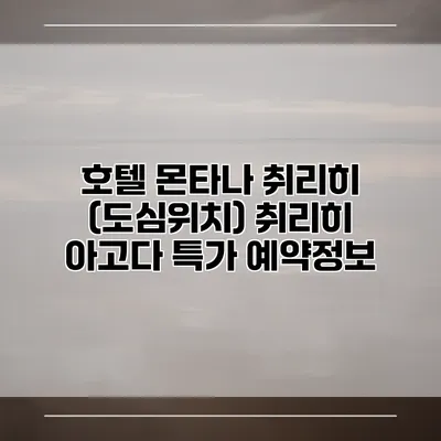 호텔 몬타나 취리히 (도심위치) 취리히 아고다 특가 예약정보