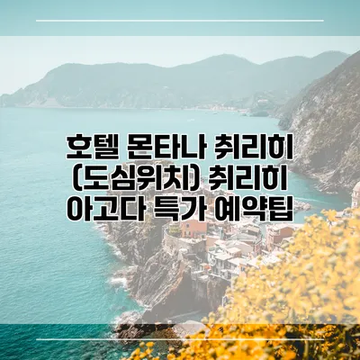 호텔 몬타나 취리히 (도심위치) 취리히 아고다 특가 예약팁