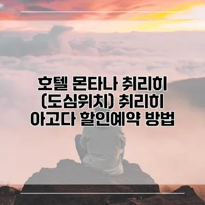 호텔 몬타나 취리히 (도심위치) 취리히 아고다 할인예약 방법