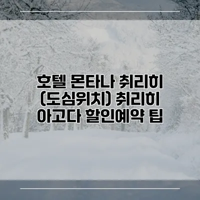 호텔 몬타나 취리히 (도심위치) 취리히 아고다 할인예약 팁