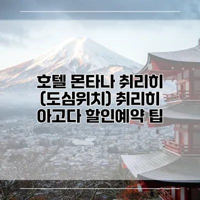호텔 몬타나 취리히 (도심위치) 취리히 아고다 할인예약 팁
