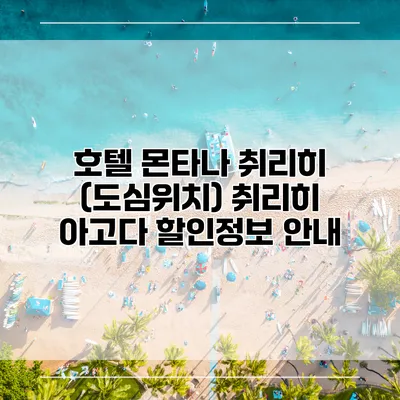 호텔 몬타나 취리히 (도심위치) 취리히 아고다 할인정보 안내