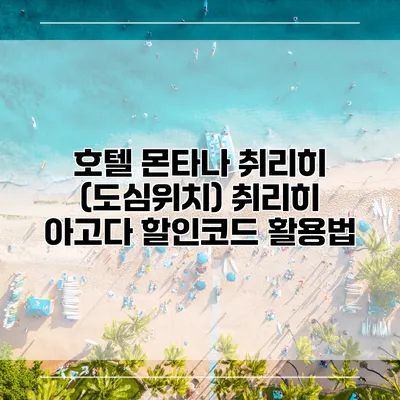 호텔 몬타나 취리히 (도심위치) 취리히 아고다 할인코드 활용법