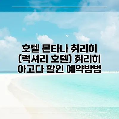 호텔 몬타나 취리히 (럭셔리 호텔) 취리히 아고다 할인 예약방법
