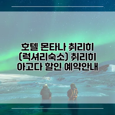 호텔 몬타나 취리히 (럭셔리숙소) 취리히 아고다 할인 예약안내