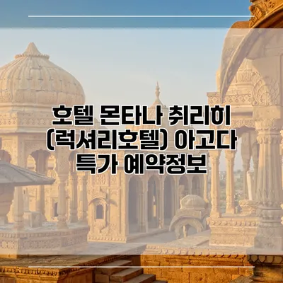 호텔 몬타나 취리히 (럭셔리호텔) 아고다 특가 예약정보