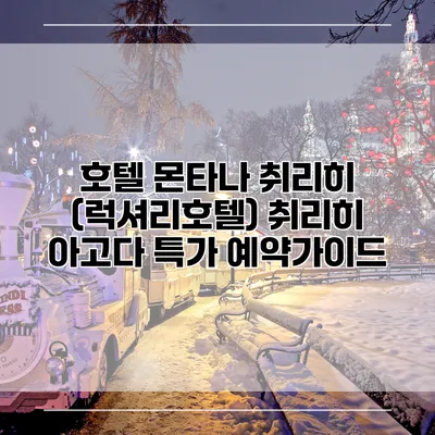 호텔 몬타나 취리히 (럭셔리호텔) 취리히 아고다 특가 예약가이드