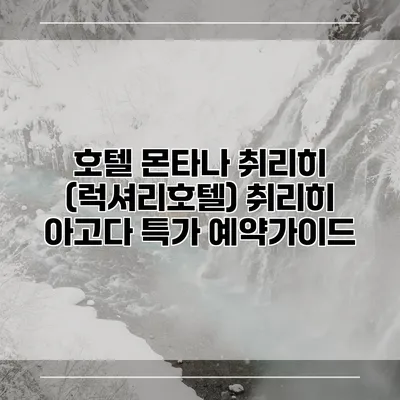 호텔 몬타나 취리히 (럭셔리호텔) 취리히 아고다 특가 예약가이드