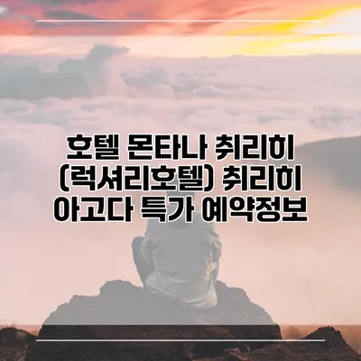 호텔 몬타나 취리히 (럭셔리호텔) 취리히 아고다 특가 예약정보