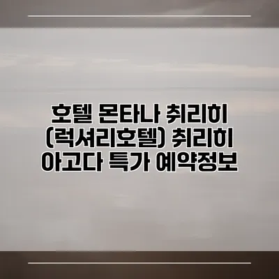 호텔 몬타나 취리히 (럭셔리호텔) 취리히 아고다 특가 예약정보