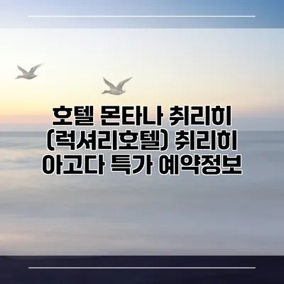 호텔 몬타나 취리히 (럭셔리호텔) 취리히 아고다 특가 예약정보