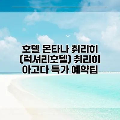 호텔 몬타나 취리히 (럭셔리호텔) 취리히 아고다 특가 예약팁
