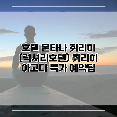 호텔 몬타나 취리히 (럭셔리호텔) 취리히 아고다 특가 예약팁
