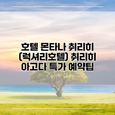 호텔 몬타나 취리히 (럭셔리호텔) 취리히 아고다 특가 예약팁