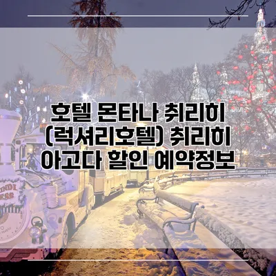 호텔 몬타나 취리히 (럭셔리호텔) 취리히 아고다 할인 예약정보