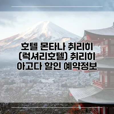 호텔 몬타나 취리히 (럭셔리호텔) 취리히 아고다 할인 예약정보