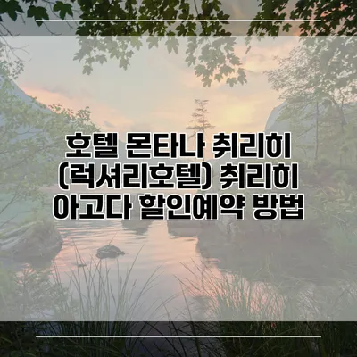호텔 몬타나 취리히 (럭셔리호텔) 취리히 아고다 할인예약 방법
