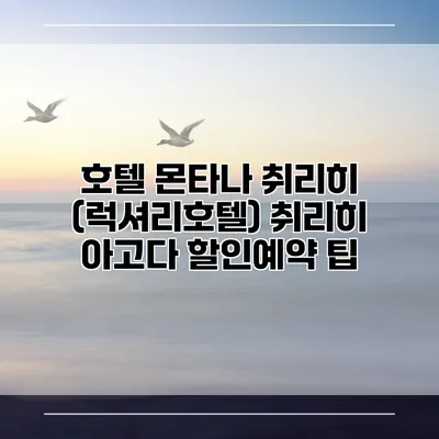 호텔 몬타나 취리히 (럭셔리호텔) 취리히 아고다 할인예약 팁