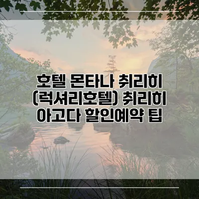 호텔 몬타나 취리히 (럭셔리호텔) 취리히 아고다 할인예약 팁