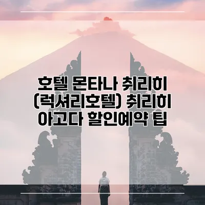 호텔 몬타나 취리히 (럭셔리호텔) 취리히 아고다 할인예약 팁