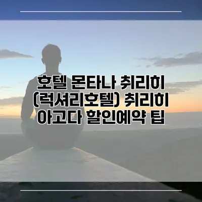 호텔 몬타나 취리히 (럭셔리호텔) 취리히 아고다 할인예약 팁