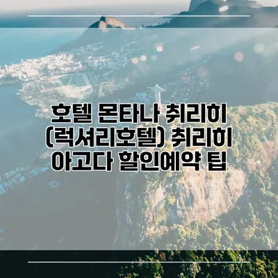 호텔 몬타나 취리히 (럭셔리호텔) 취리히 아고다 할인예약 팁