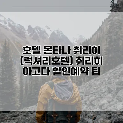 호텔 몬타나 취리히 (럭셔리호텔) 취리히 아고다 할인예약 팁