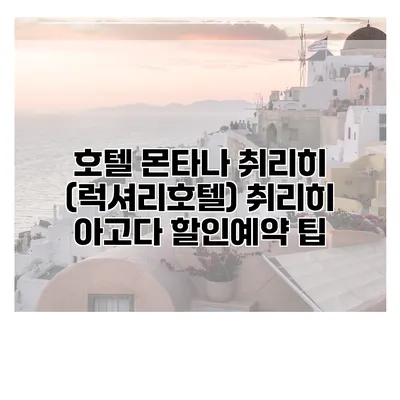 호텔 몬타나 취리히 (럭셔리호텔) 취리히 아고다 할인예약 팁