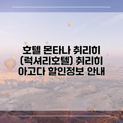 호텔 몬타나 취리히 (럭셔리호텔) 취리히 아고다 할인정보 안내