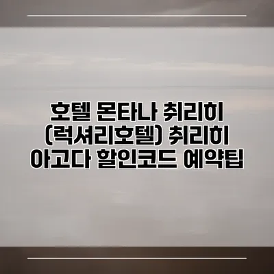 호텔 몬타나 취리히 (럭셔리호텔) 취리히 아고다 할인코드 예약팁