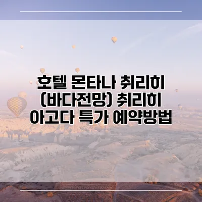 호텔 몬타나 취리히 (바다전망) 취리히 아고다 특가 예약방법