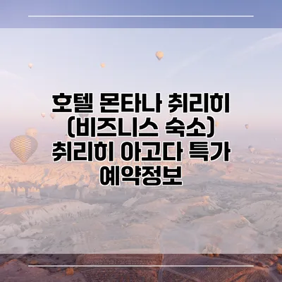 호텔 몬타나 취리히 (비즈니스 숙소) 취리히 아고다 특가 예약정보
