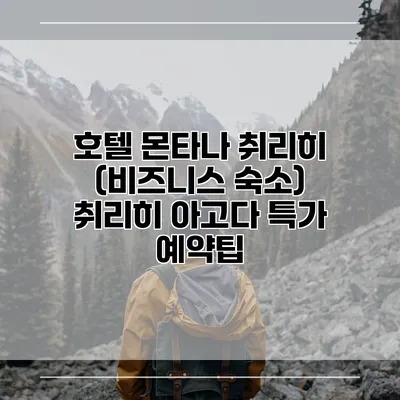 호텔 몬타나 취리히 (비즈니스 숙소) 취리히 아고다 특가 예약팁