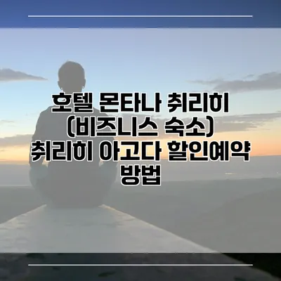 호텔 몬타나 취리히 (비즈니스 숙소) 취리히 아고다 할인예약 방법