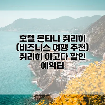 호텔 몬타나 취리히 (비즈니스 여행 추천) 취리히 아고다 할인 예약팁