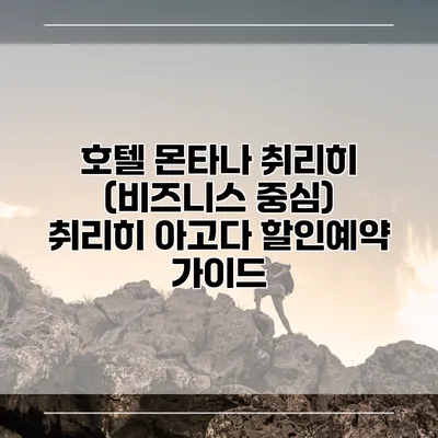 호텔 몬타나 취리히 (비즈니스 중심) 취리히 아고다 할인예약 가이드